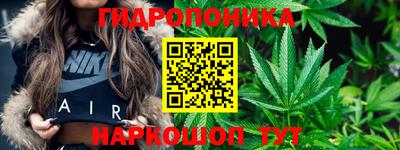 бутират Кингисепп